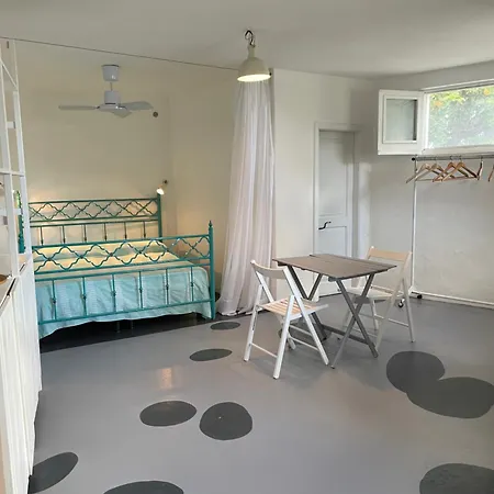 Daire Hibiscus Stromboli