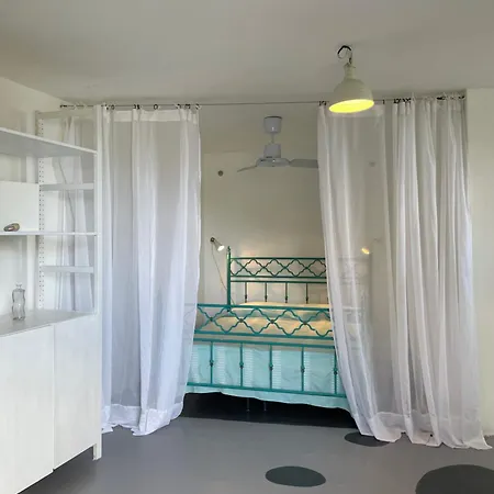 Hibiscus Стромболи